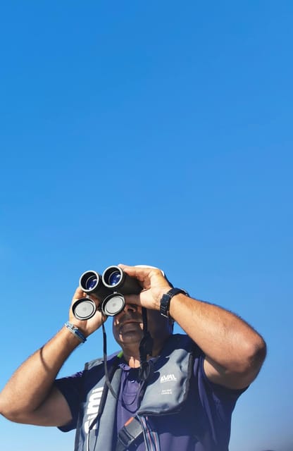 Faro: Pudim Real Boat Tours 6h guided boat tour Ria Formosa - Returning to Faro at 3:30 pm