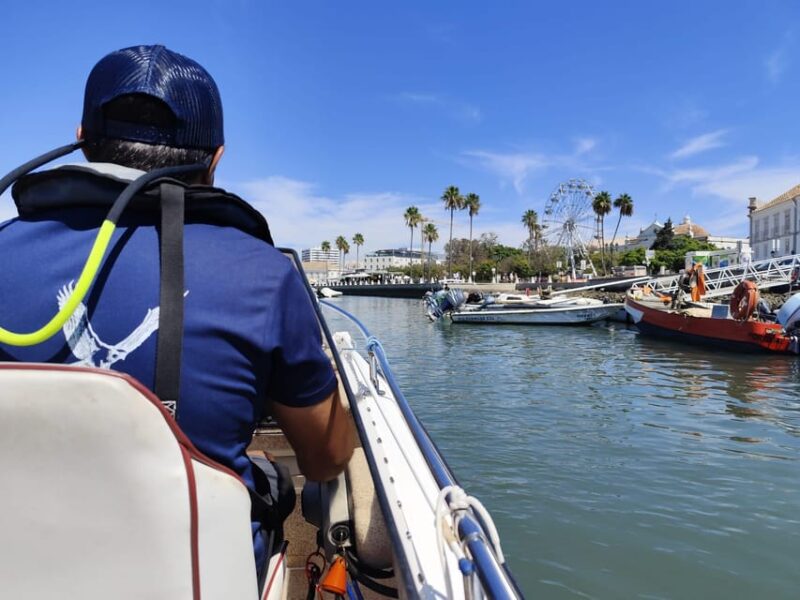 Faro: Pudim Real Boat Tours 6h guided boat tour Ria Formosa - Comparing to Other Ria Formosa Tours