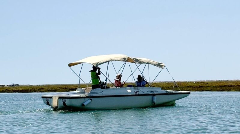 Faro: Ria Formosa Boat Tour by Eco-Friendly Solar Boat - Experience the Beauty of Faros Ria Formosa on a Solar-Powered Boat Tour