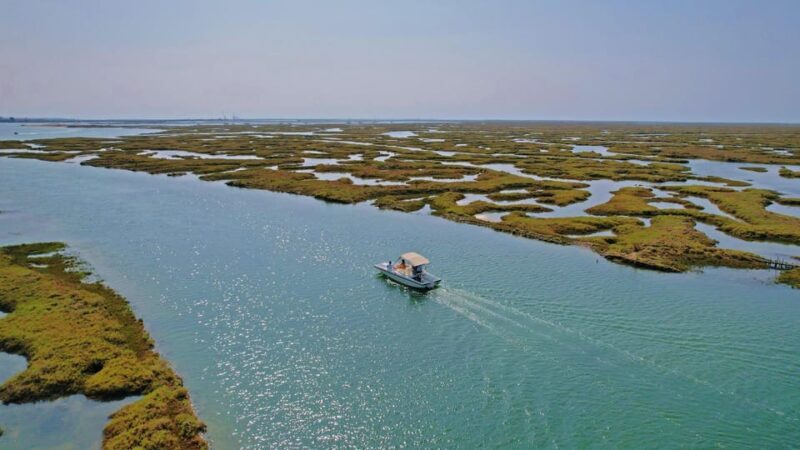 Faro: Ria Formosa Boat Tour by Eco-Friendly Solar Boat - Departing from Faros Marina: Easy Access and Clear Meeting Points