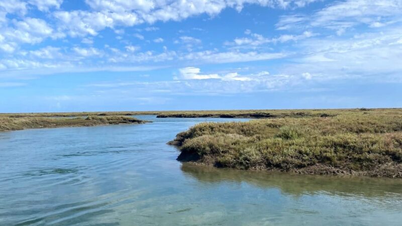 Faro: Ria Formosa Boat Tour by Eco-Friendly Solar Boat - What the 1-Hour Itinerary Includes