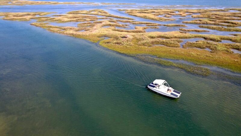 Faro: Ria Formosa Boat Tour by Eco-Friendly Solar Boat - The Expertise of Guides: Knowledgeable and Friendly