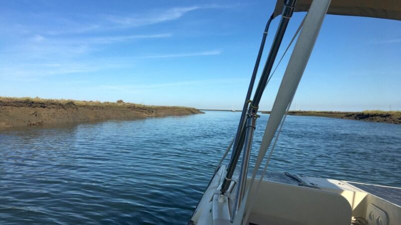 Faro: Ria Formosa Boat Tour by Eco-Friendly Solar Boat - Quiet and Peaceful Nature Experience