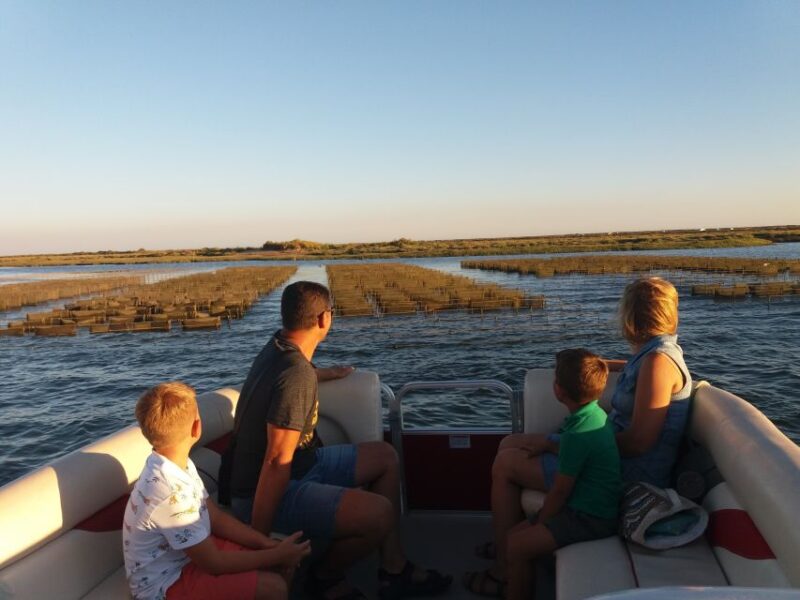 Faro: Ria Formosa Boat Tour - Key Points