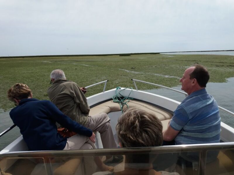 Faro: Ria Formosa Boat Tour - Practical Tips for a Comfortable Tour