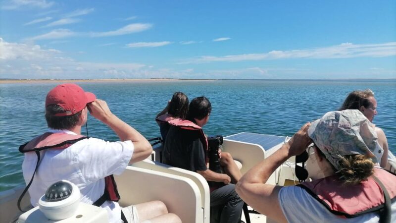 Faro: Ria Formosa Eco Birdwatching Boat Tour - Faro’s Marina as the Starting Point for Ecological Exploration
