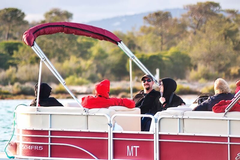 Faro: Ria Formosa Faro Islands Boat Tour - Guides and Commentary: Knowledge and Languages