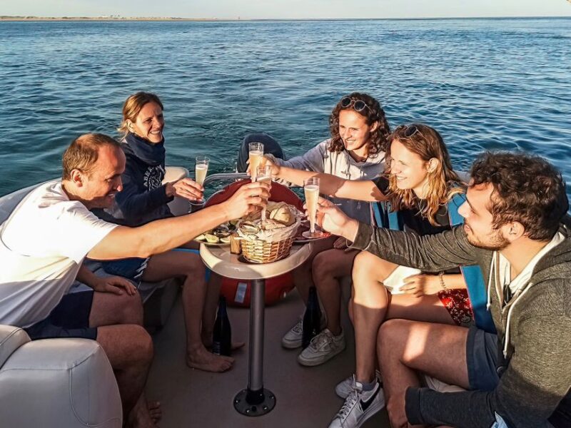 Faro: Ria Formosa Faro Islands Boat Tour - Comparing this Tour to Similar Options