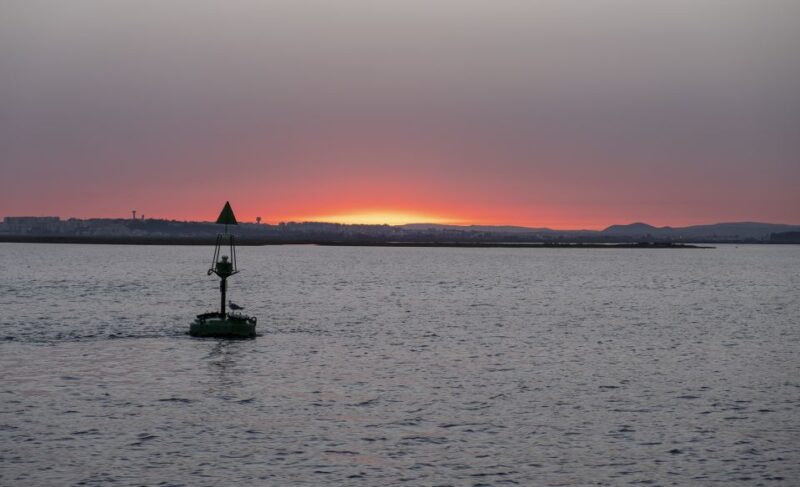 Faro: Ria Formosa Guided Sunset Tour by Catamaran - Exploring Ria Formosa Natural Park