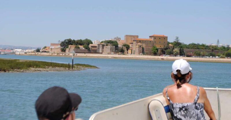 Faro: Ria Formosa Lagoon Small Boat Tour with Local Guide - The Beauty of Wildlife and Birdwatching