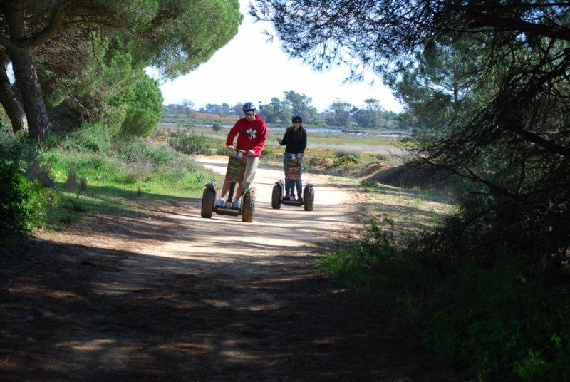 Faro: Ria Formosa Natural Park Segway Tour & Birdwatching - From the Meeting Point to the Park: Convenient Logistics