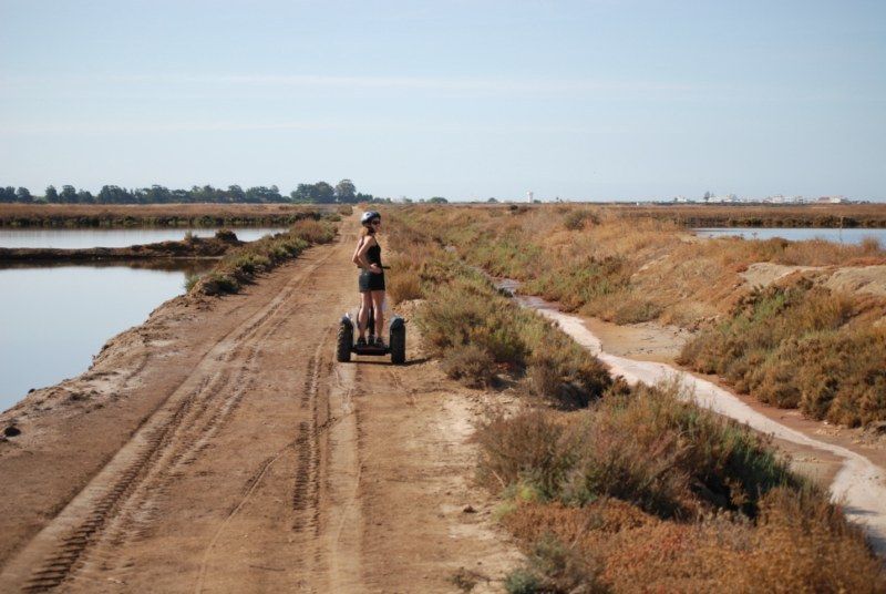 Faro: Ria Formosa Natural Park Segway Tour & Birdwatching - The Guides: Knowledgeable and Friendly Hosts