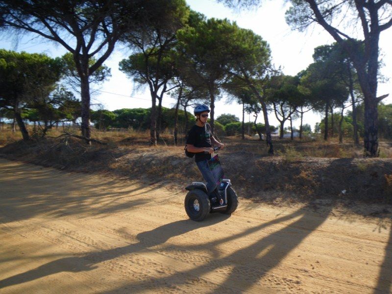 Faro: Ria Formosa Natural Park Segway Tour & Birdwatching - Timing and Seasonal Availability