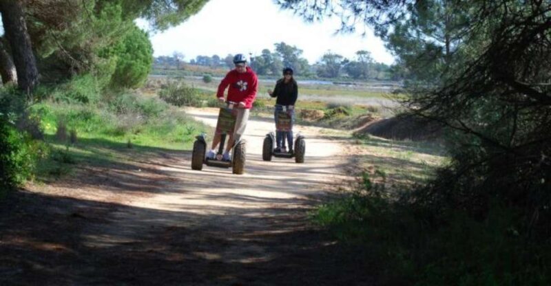 Faro: Ria Formosa Natural Park Segway Tour & Birdwatching - Why Choose This Tour Over Others in the Area