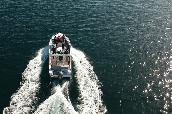 Faro - Ria Formosa tour with visit to 2 islands (Deserta, Farol) 3.5 hours - Practical Information and Group Size