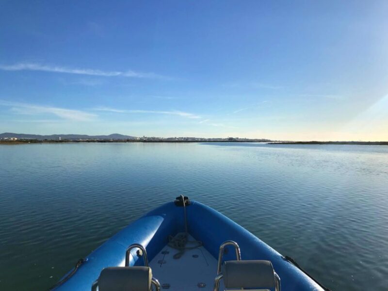Faro: Speed Boat Tour - Key Points