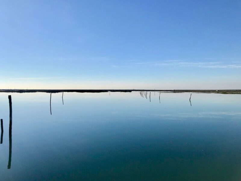 Faro: Speed Boat Tour - The Different Tour Options and How to Choose