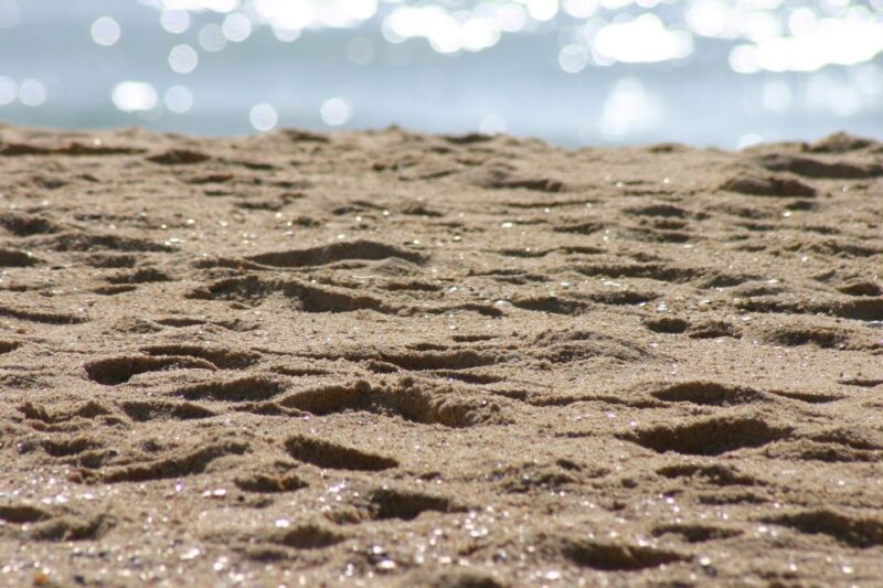 Faro: Speed Boat Tour - What to Expect During the Tour: Guides and Safety