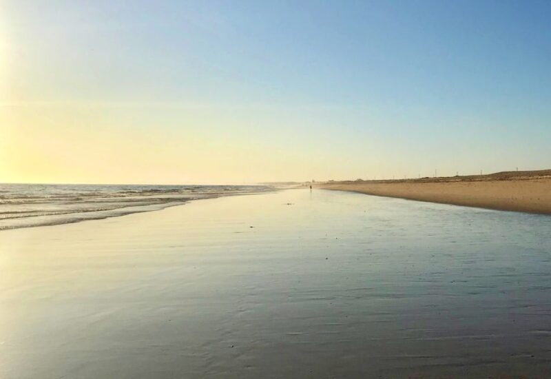 Faro: Speed Boat Tour - Who Would Love This Tour?