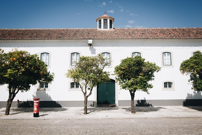 Faro Walking Tour: Uncover the Citys Architectural Legacy - Climbing Faro’s Clock Tower for Panoramic Views