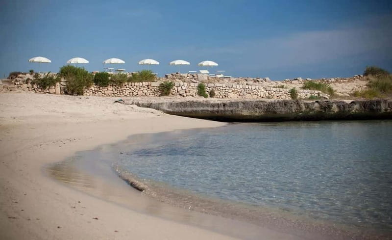 Fasano: e-bike tour to discover the wonders of the area - The Tour Begins at Lama dAntico Park