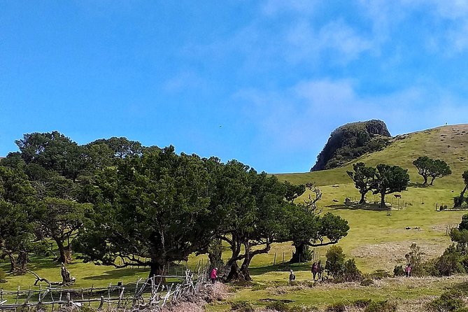Fascinated Landscapes Northwest 4x4 excursion - The Guide and Overall Experience