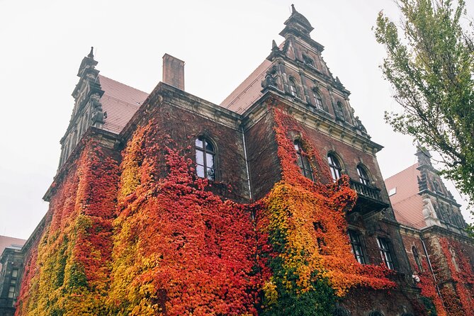 Fascinating Highlights of Wroclaw - Walking Tour - Starting Point at Ostrów Tumski, Wroclaw’s Historic Heart