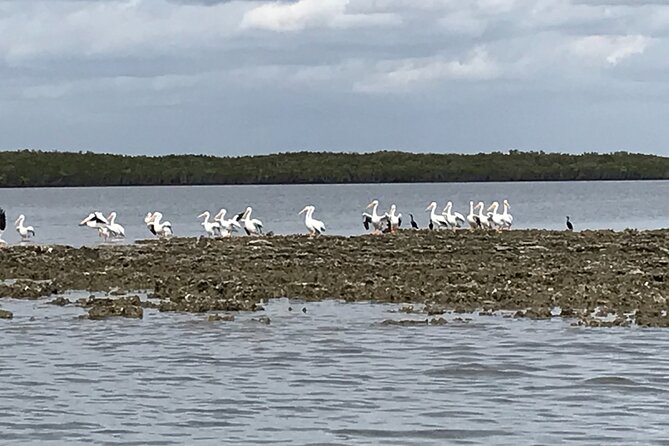 Fast & More Airboat Tour - Comfortable Seating and Safety Gear