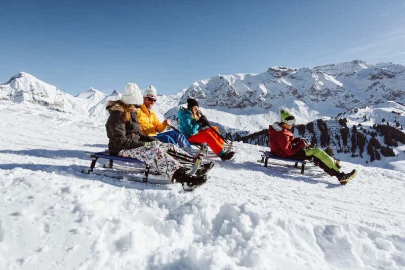 Fast-paced fun tobogganing on the VogellisiBerg - The VogellisiBerg: A Dynamic Sledding Destination in Adelboden