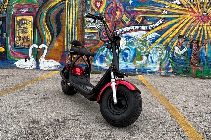 Fat Tire 2 Seater Rental in Houston - Riding with Safety: Helmets and Assistance
