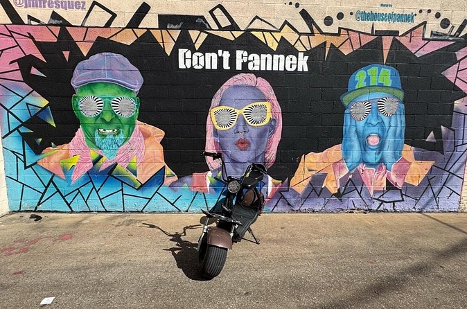 Fat Tire 2 Seater Rental in Houston - The Experience: Flexible, Fun, and Suitable for All