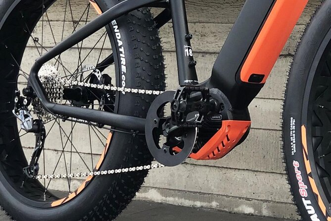 FAT TIRE E-BIKE GREAT TOUR - river, parks & panoramic views tour - Exploring the Rudolfinum and Old Jewish Cemetery