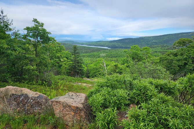 Fat Tire E-Bike Rental in Bar Harbor - Meeting Point and Booking Details