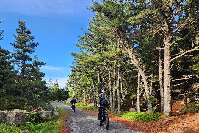 Fat Tire E-Bike Rental in Bar Harbor - Customer Satisfaction and Review Highlights