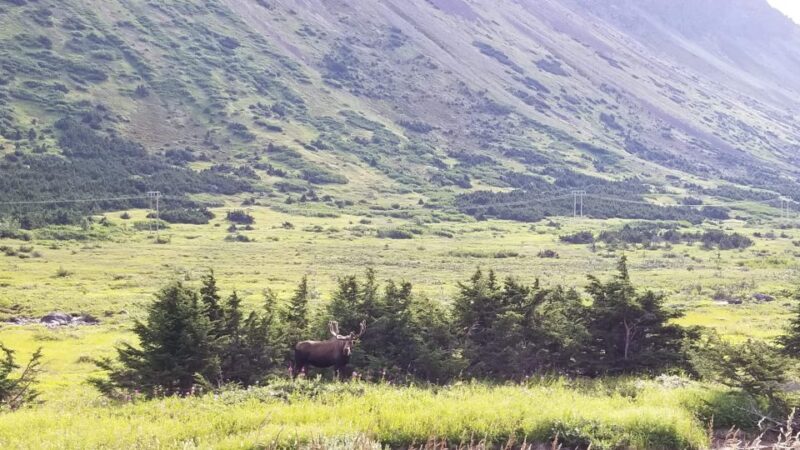 Fat Tire MTB in Chugach State Park Tour - Lunch and Hydration Breaks