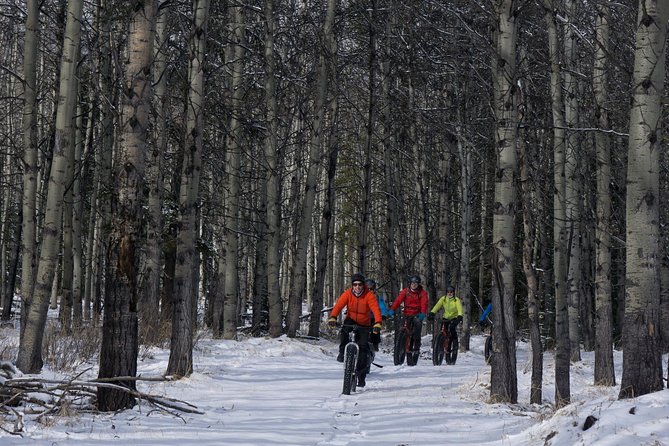 Fatbike Frozen Waterfall Tour - Riding the Rocky Mountain Blizzard Fat Bike