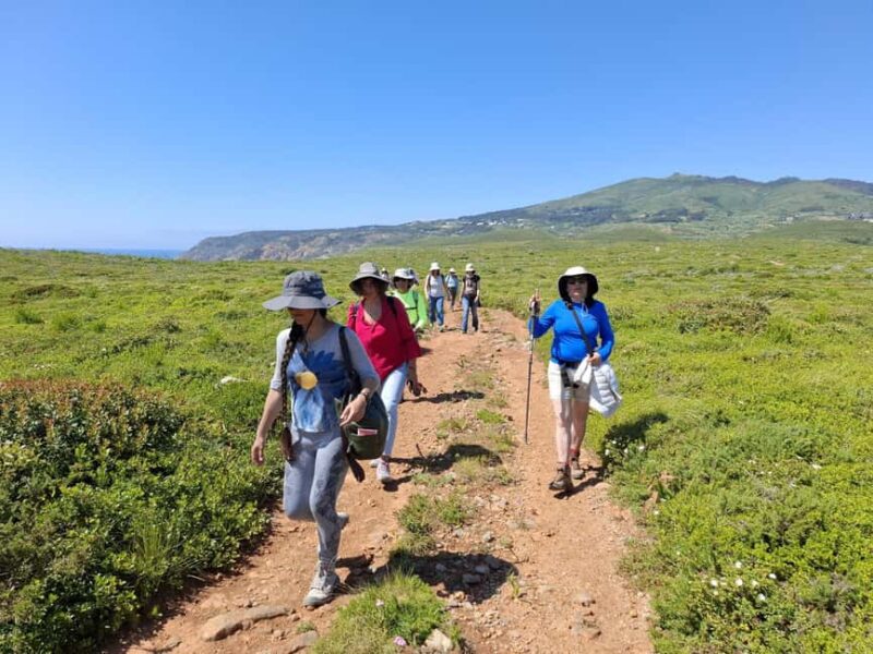 Fátima, Batalha & Alcobaça: The Complete Cultural Experience - Visit Alcobaça Monastery and Its Romantic Tombs