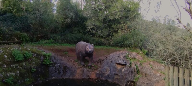 Fátima: Caves & Tradition E-bike Tour - Discovering Gruta da Moeda: One of the Region’s Most Beautiful Caves
