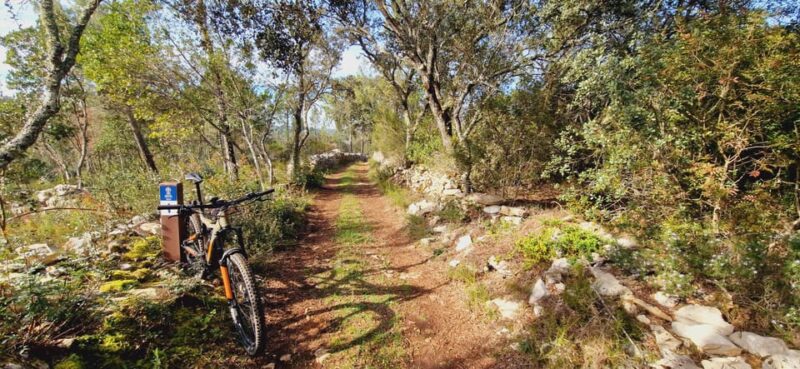 Fátima: Caves & Tradition E-bike Tour - The Logistics of the Tour Route and Stops