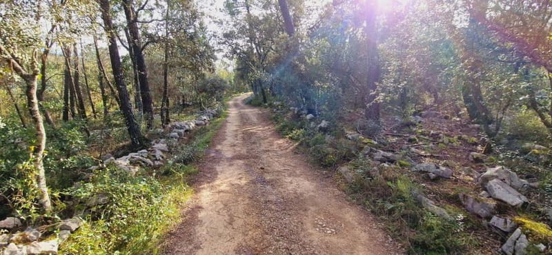 Fátima: E-Bike Tour to Dinosaur Footprints Natural Monument - Explore Fátima’s Unique Dinosaur Footprints by E-Bike