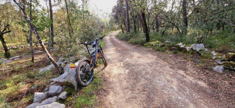 Fátima: E-Bike Tour to Dinosaur Footprints Natural Monument - Discover the Dinosaur Footprints Natural Monument in Bairro