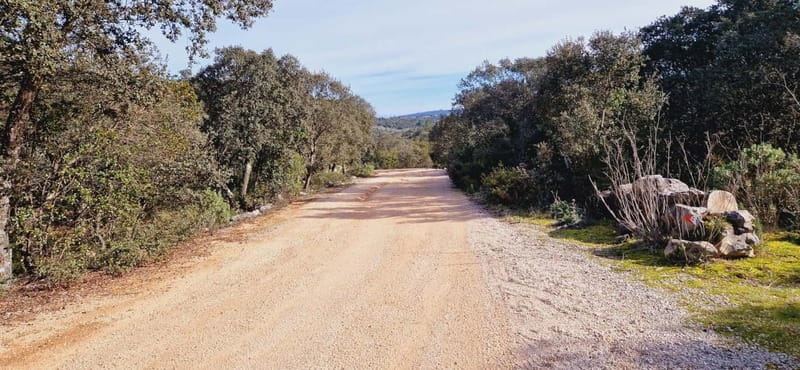 Fátima: E-Bike Tour to Dinosaur Footprints Natural Monument - What Makes This Tour Special