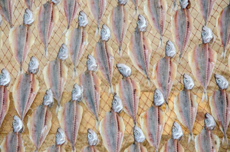 Fátima, Óbidos and the Atlantic Coast Day Tour from Lisbon - Comfortable Transportation and Small Group Experience