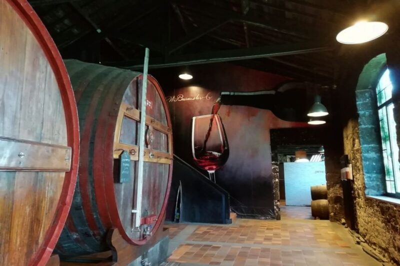 Fátima: Private Porto Tour - Convenient Hotel Pickup in Fátima