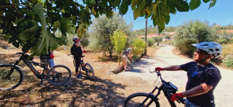 Fátima: Sanctuary, Castle & Gastronomy - All-iN E-bike Tour - Tasting Traditional Flavors at Matilde Tavern