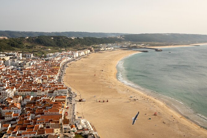 Fatima Sanctuary, Pena Palace & Nazare's Big Wave from Lisbon - Logistics and Pacing of the Tour