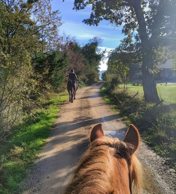 Fattoria Tègoni: horseback riding in Tuscany - Discover the Charm of Fattoria Tègonis Horseback Rides in Tuscany