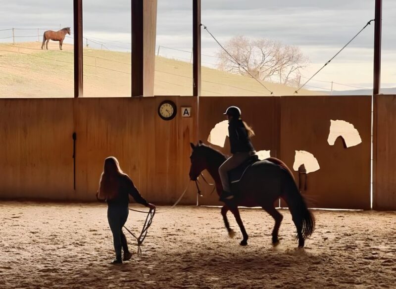 Fattoria Tègoni: horseback riding in Tuscany - Horseback Riding Options for All Levels