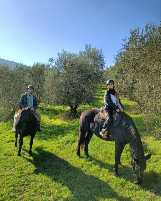 Fattoria Tègoni: horseback riding in Tuscany - Why Choose Fattoria Tègoni for Horseback Riding in Tuscany?
