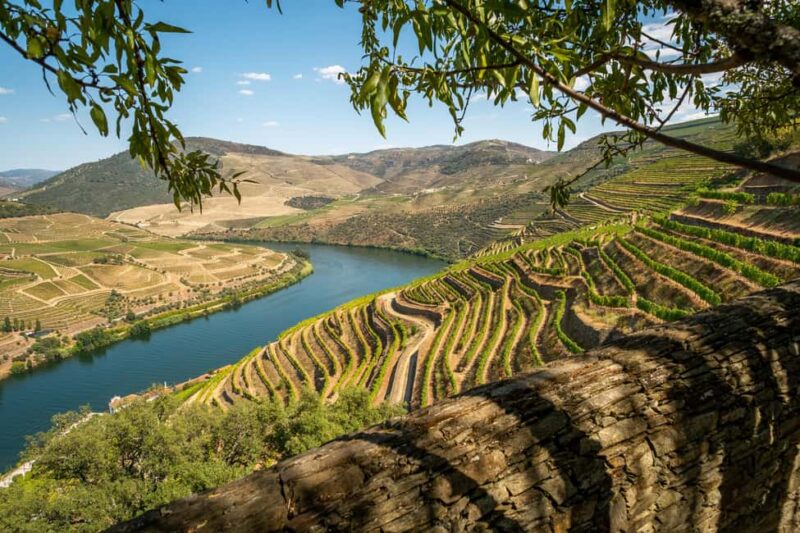 Favaios: Discover the Douro's hidden sweet secret, starting in Porto - Key Points